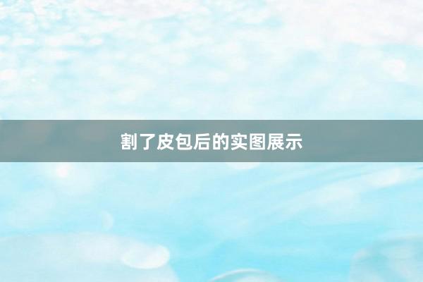割了皮包后的实图展示