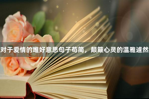 对于爱情的唯好意思句子苟简，颠簸心灵的温雅遽然